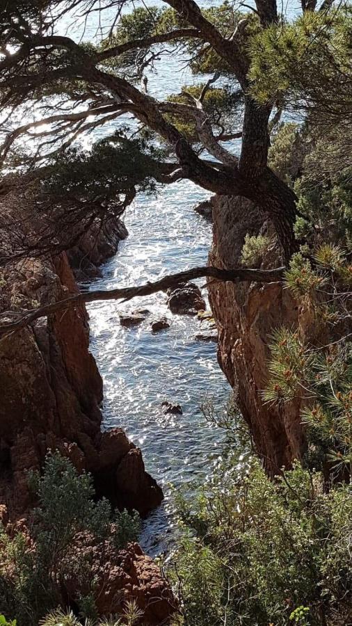 Saint Raphael, Cap Esterel Le Hameau. Vue Mer エクステリア 写真
